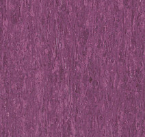 Линолеум Tarkett iq Optima Purple 0255 фото 1 | FLOORDEALER